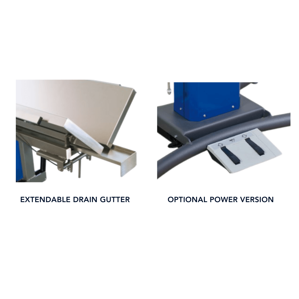 VETERINARY INTERNAL MEDICINE 第8版　2冊セット VETERINARY INTERNAL MEDICINE 第8版2冊セット