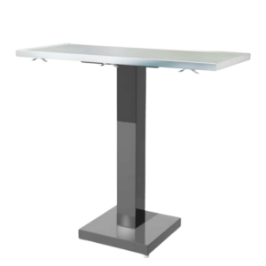 Classic slim stainless fixed veterinary exam table