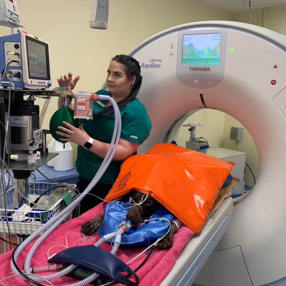 MRI Safe veterinary surgical environment setup