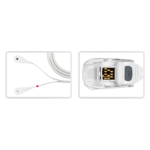 Masimo RD Y-Style SpO2 sensor for veterinary and animal vital signs monitoring