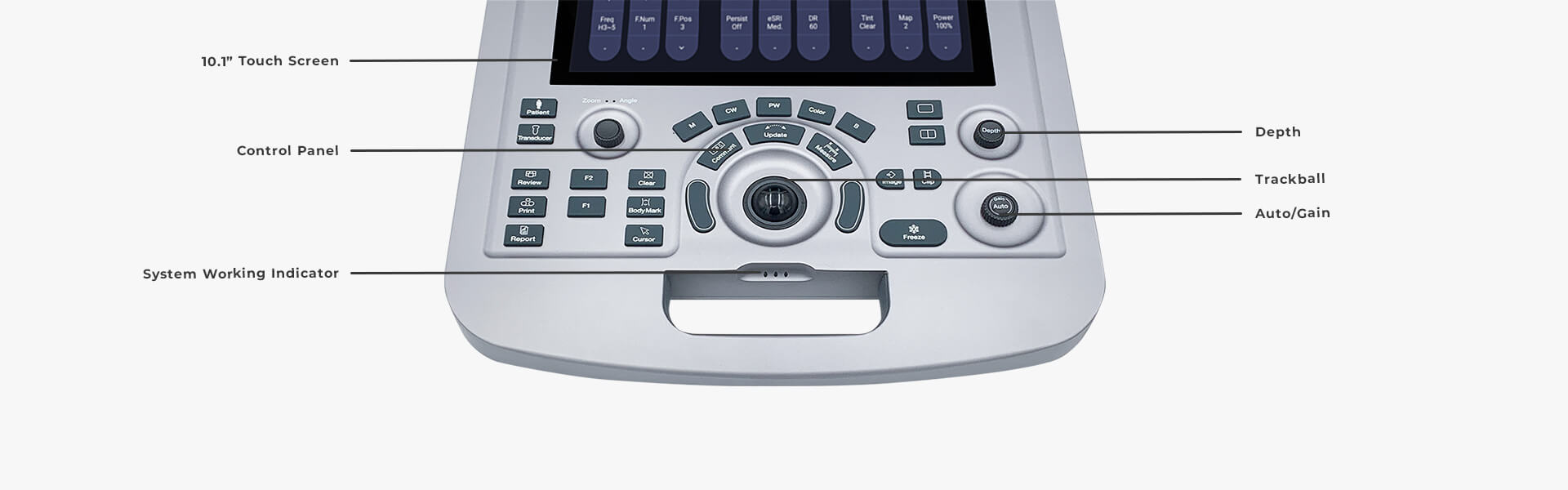 Acclarix AX Series Compact Veterinary Ultrasound System