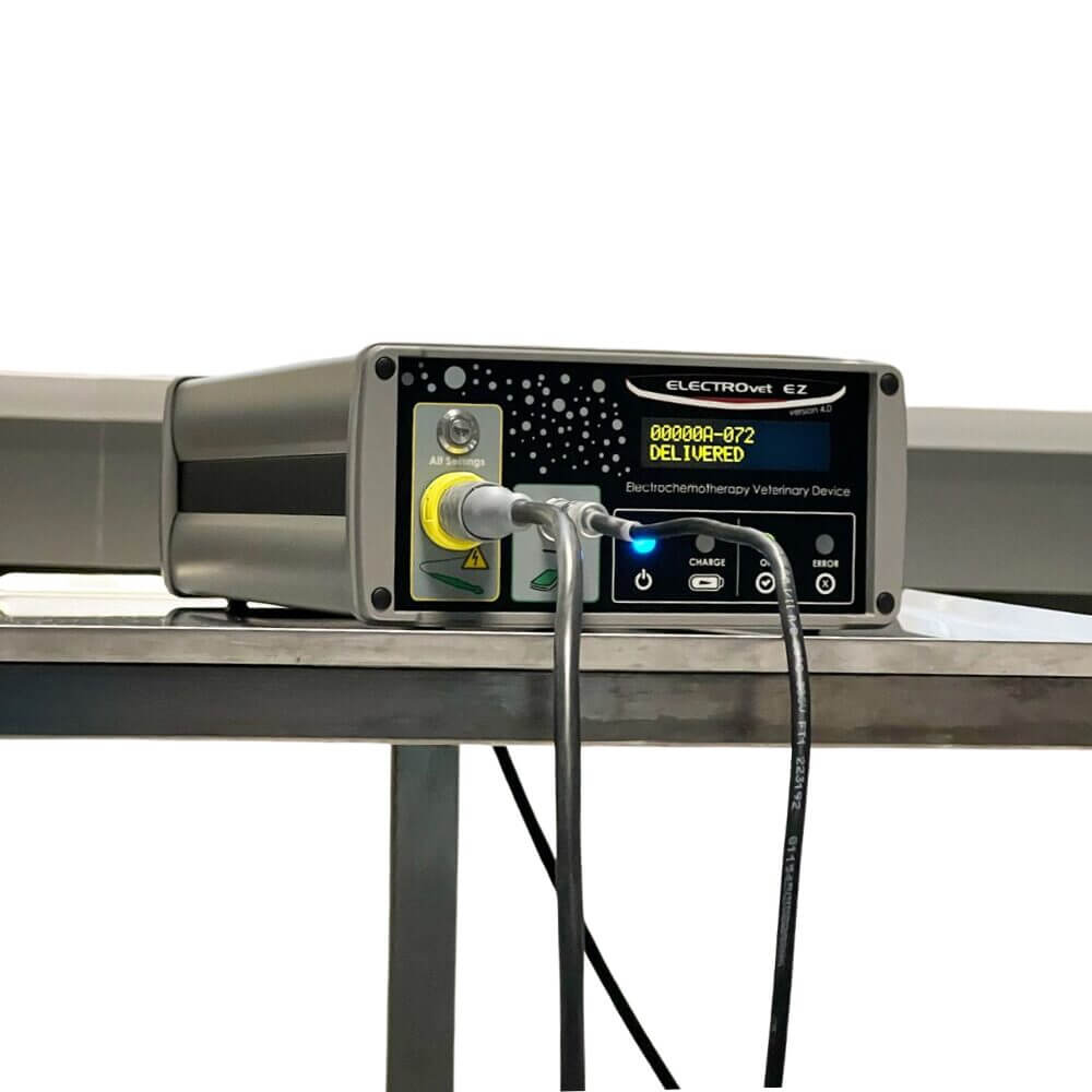 Animal health care electrochemotherapy unit
