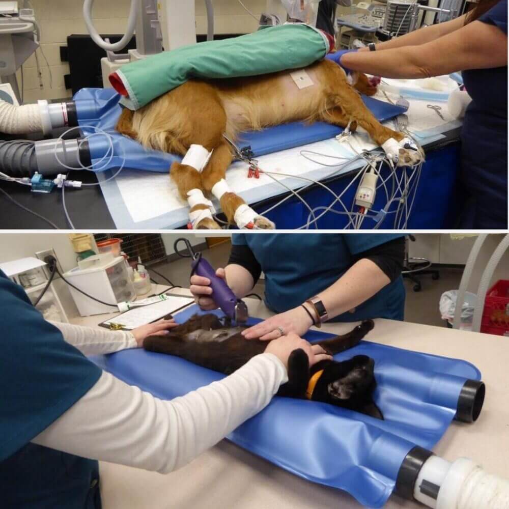 HoverHeat Veterinary Forced Air Warming System