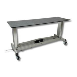 Translucent Bioskill & Cadaver Table