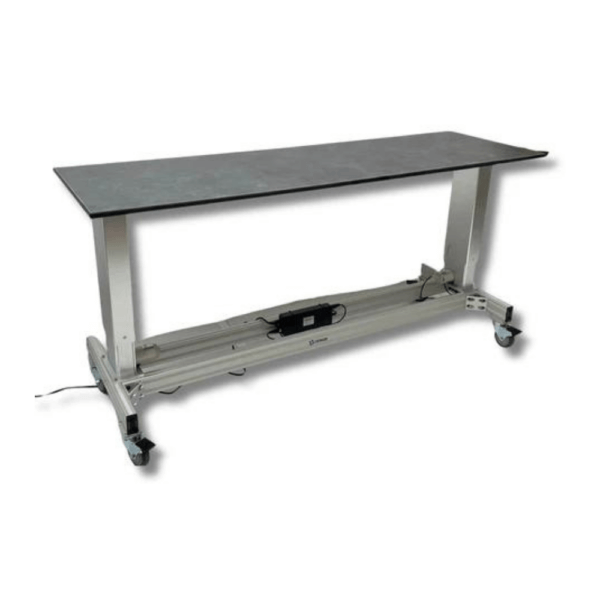 Translucent Bioskill Cadaver Table - Infinium Scientific & Bioskill
