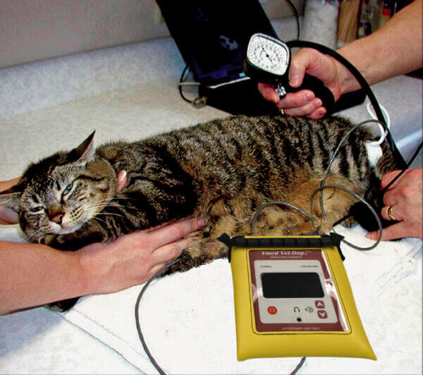 VetDop2 in Clinical Use