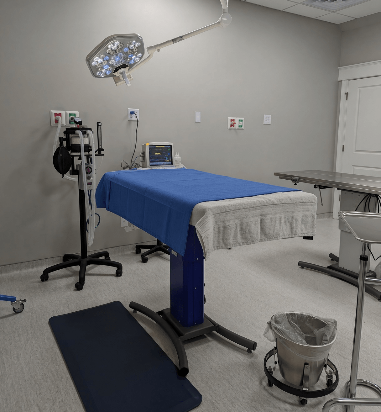 Veterinary surgery suite