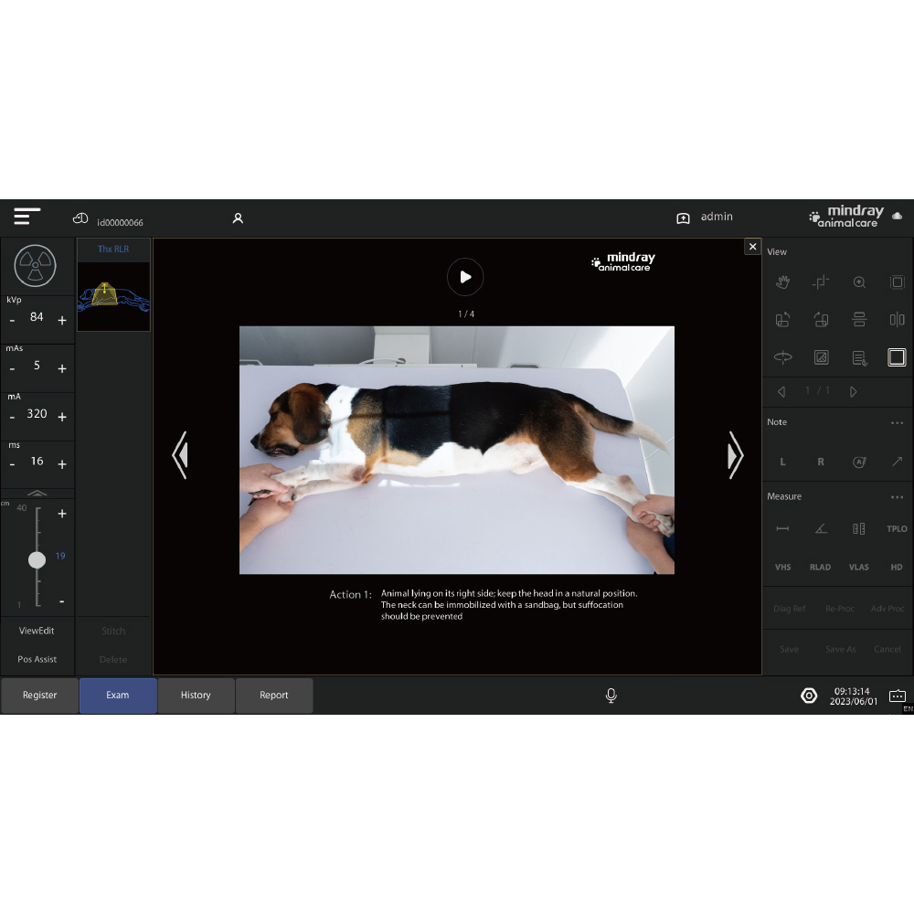 VetiX S380 acquisition screen with an iShotHelper photo of a beagle lying on its right side and the step 1 positioning instructions below