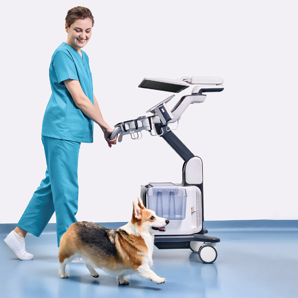 Veterinary technician pushing the Mindray Vetus 50 on its cart with a Corgi walking alongside