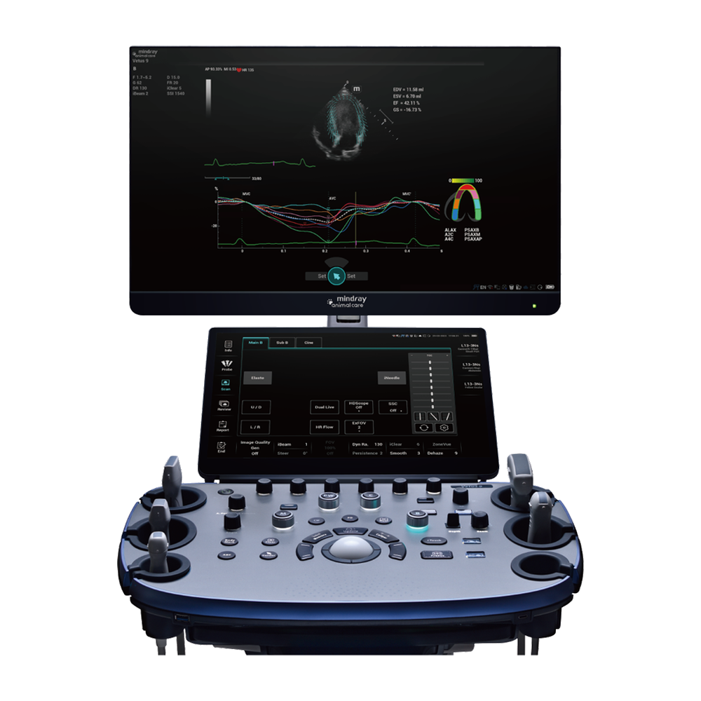Mindray Vetus 9 main monitor, touchscreen, and control panel with a cardiac strain analysis on screen