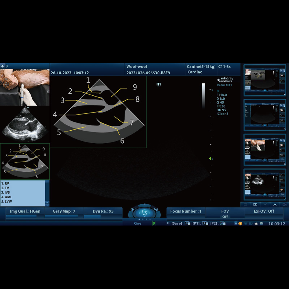 Mindray Vetus M10 iScanHelper screen with a labeled cardiac view beside a reference photo of the probe position